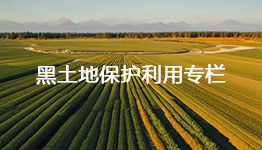 黑土地保護利用專欄
